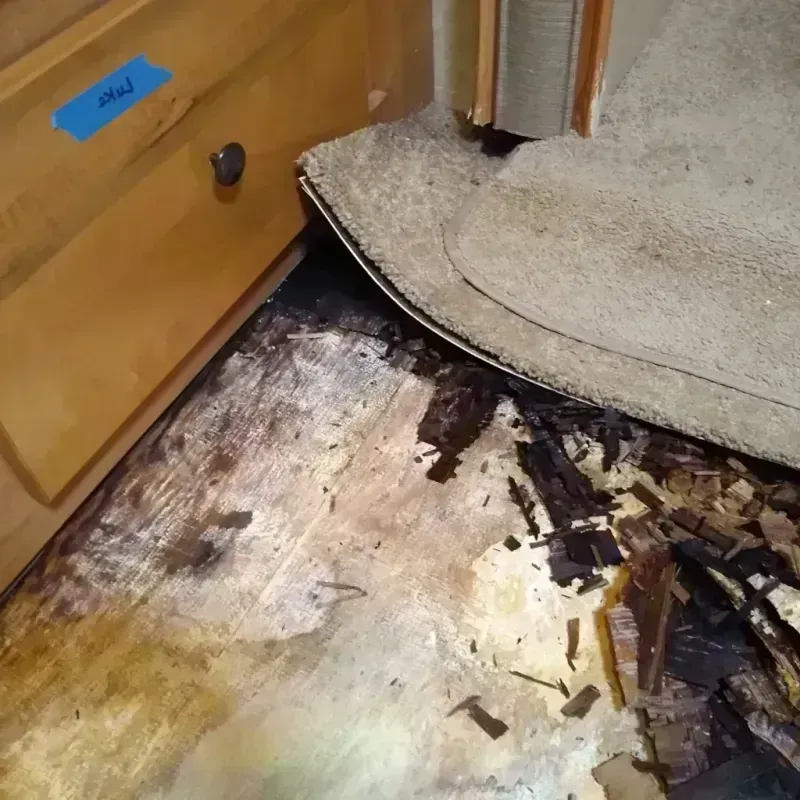 Wood Floor Water Damage in Joshua, TX